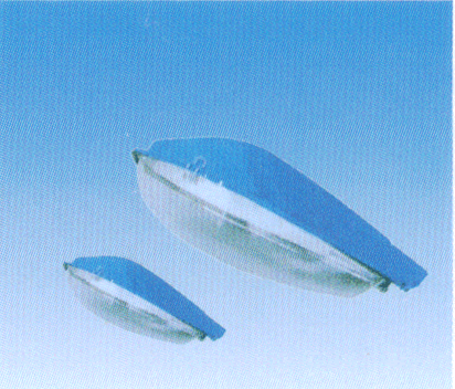 dl10300