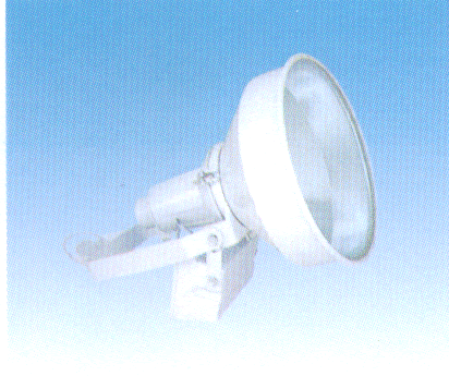 GK11377