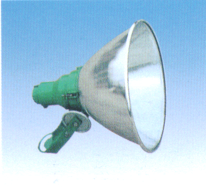 GK11381